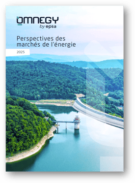 omnegy_rapport_perspectives_2025